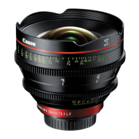 Preview: Canon CN-E14mm T3.1 L F