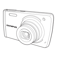 Preview: Olympus VH-410