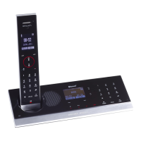 Preview: Swissvoice BTouch