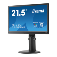 Preview: Iiyama ProLite B2280HS