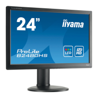 Preview: Iiyama ProLite B2480HS