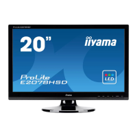 Preview: Iiyama ProLite E2078HSD