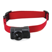 Preview: Petsafe PIF-275-19
