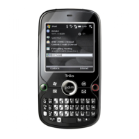 Preview: Palm TREO PRO