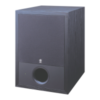 Preview: Yamaha SW10 STUDIO