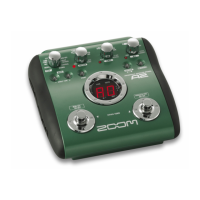 Preview: Zoom A2