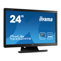 Preview: Iiyama ProLite T2452MTS