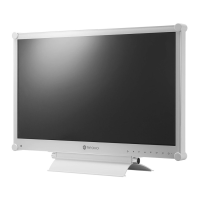 Preview: AG Neovo DR-22