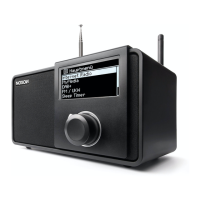 Preview: Noxon iRadio M110+