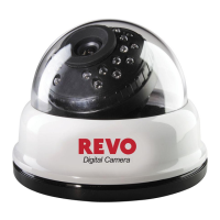 Preview: Revo RCDY24-1