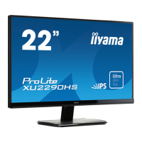 Preview: Iiyama ProLite XU2290HS