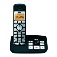 Preview: AEG Voxtel S100