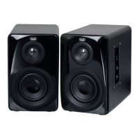 Preview: Trevi AVX 565