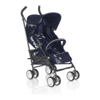 Preview: Brevi Marathon