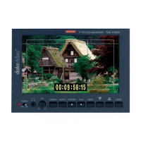 Preview: Datavideo TLM-700HD