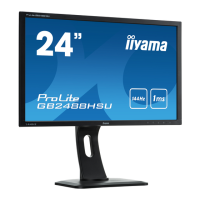 Preview: Iiyama ProLite GB2488HSU