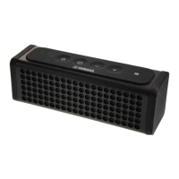 Preview: Yamaha NX-P100