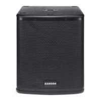 Preview: Samson Auro D1200