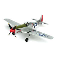 Preview: PARKZONE P-51D Mustang