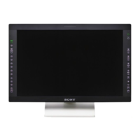 Preview: Sony LMD-2451MT