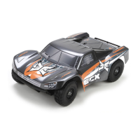 Preview: ECX TORMENT ECX01001