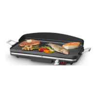 Preview: Fritel TG 2990