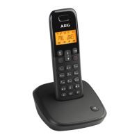 Preview: AEG Voxtel D100