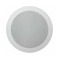 Preview: AUDAC CS55