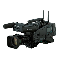 Preview: Panasonic AJ-PX800G