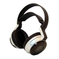 Preview: Sony MDR-RF5000
