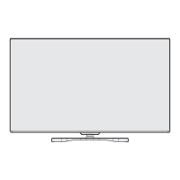 Preview: VESTEL 55PF9060