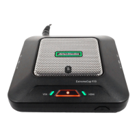 Preview: Avermedia ExtremeCap 910