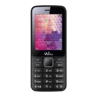 Preview: Wiko RIFF