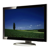 Preview: BenQ T261W