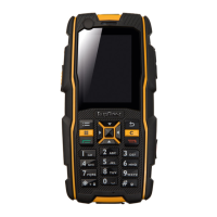 Preview: RugGear RG300