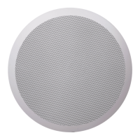 Preview: AUDAC CS85