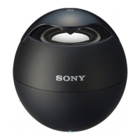 Preview: Sony SRS-X1
