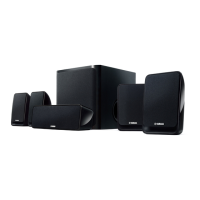 Preview: Yamaha NS-P20