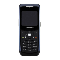 Preview: Samsung SGH-U100
