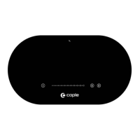 Preview: Caple C950I