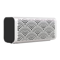 Preview: Braven Lux