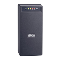 Preview: Tripp Lite OMNIVSINT800