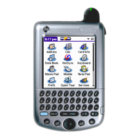 Preview: Palm Tungsten W