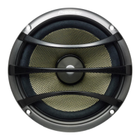 Preview: Pioneer TS-S101PRS