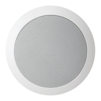 Preview: AUDAC CS75