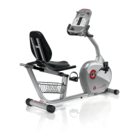 Preview: Schwinn 250