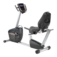 Preview: Schwinn SR23