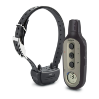 Preview: Garmin Delta