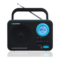 Preview: Blaupunkt PP12BK