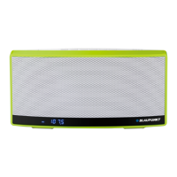 Preview: Blaupunkt BT10